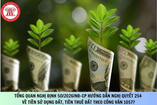 Pháp luật