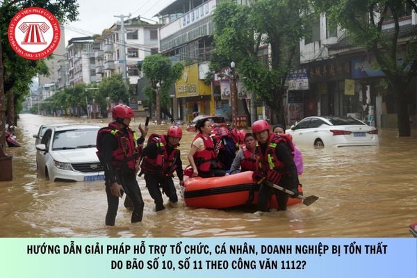 Pháp luật