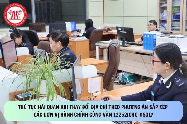 Pháp luật