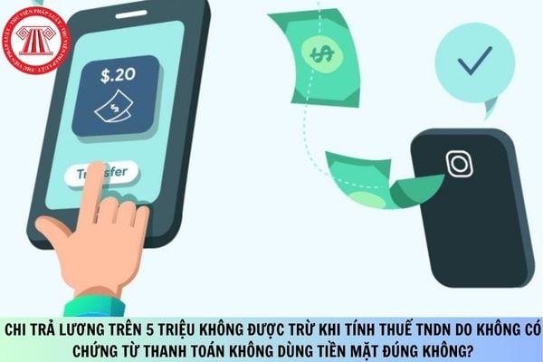 Pháp luật