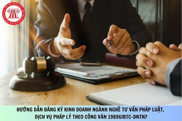 Pháp luật