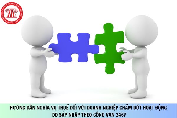Pháp luật