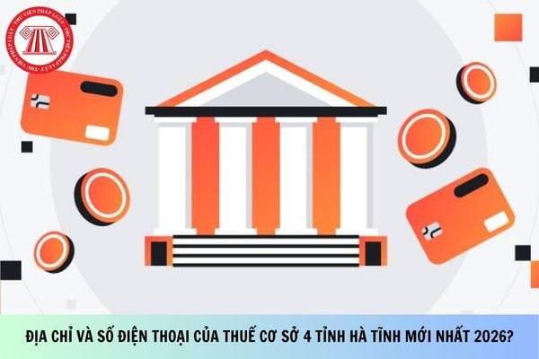 Pháp luật