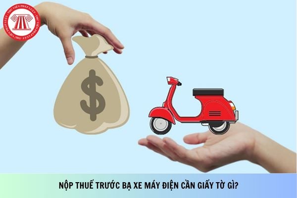 Pháp luật