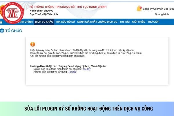 Pháp luật