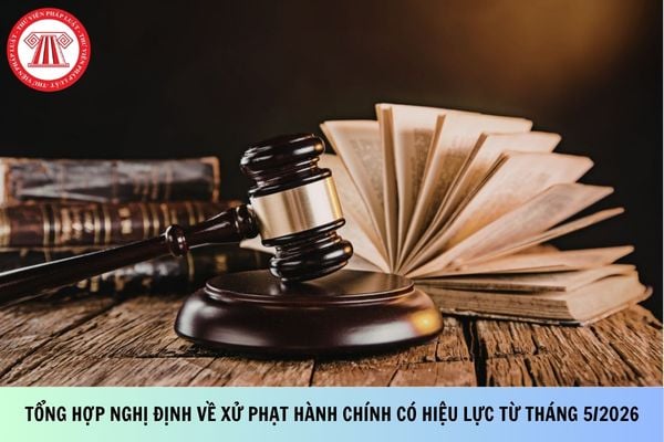 Pháp luật
