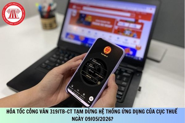 Pháp luật