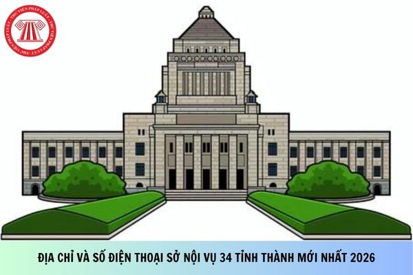 Pháp luật