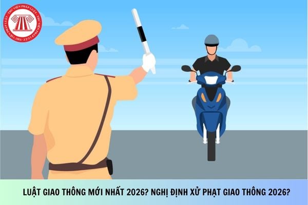 Pháp luật