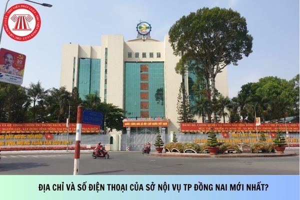 Pháp luật