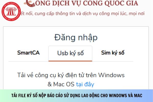 Pháp luật