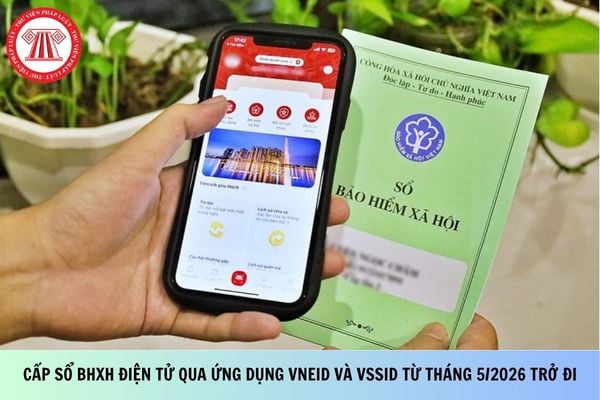 Pháp luật