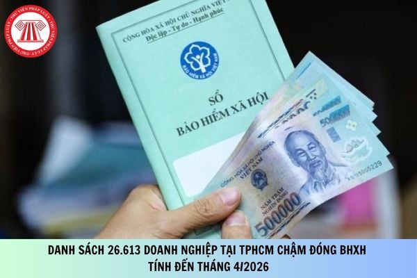 Pháp luật