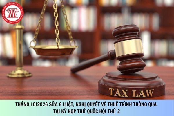 Pháp luật