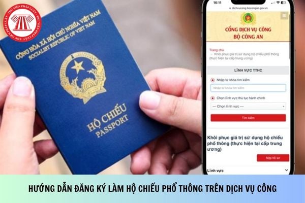 Pháp luật