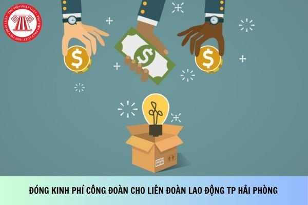 Pháp luật