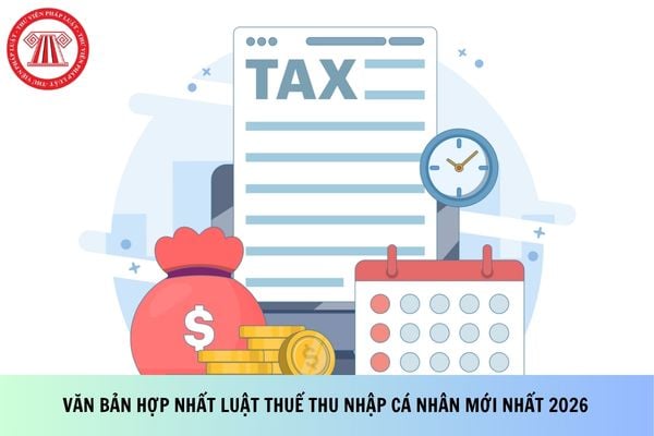 Pháp luật