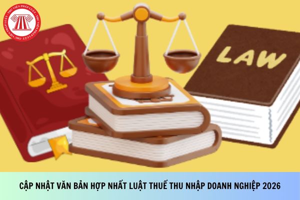 Pháp luật