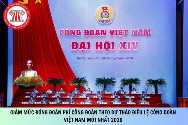 Pháp luật