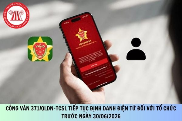 Công văn 371/QLDN-TCS1 tiếp tục định danh điện tử đối với tổ chức trước ngày 30/06/2026?