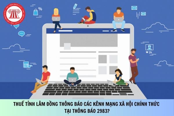 Pháp luật