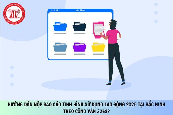 Pháp luật