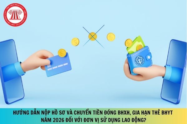 Pháp luật