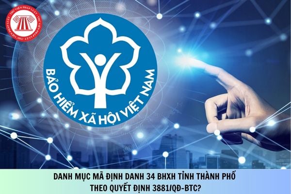 Pháp luật