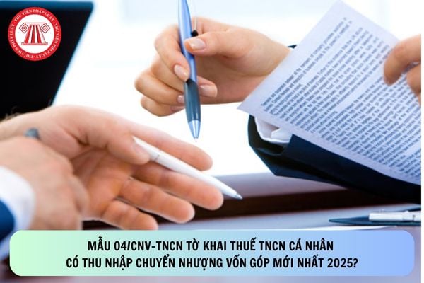 Pháp luật