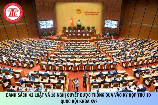 Pháp luật