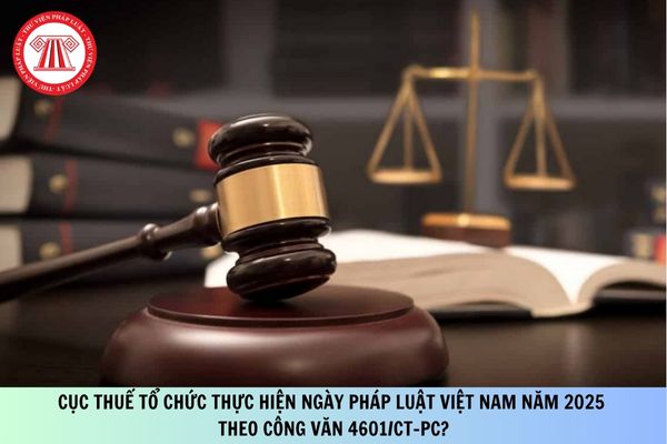 Pháp luật