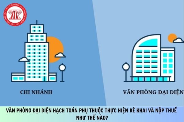 Pháp luật