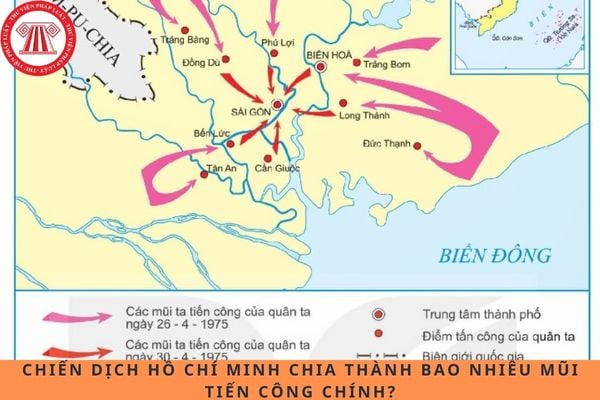 Pháp luật