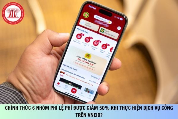 Pháp luật