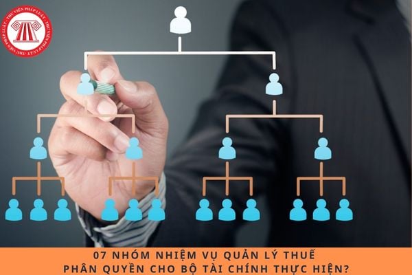Pháp luật