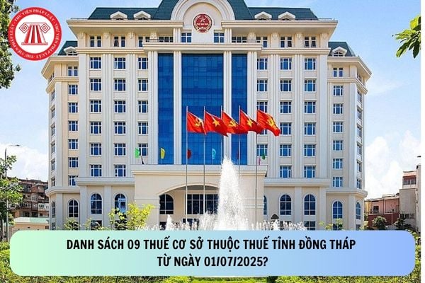 Pháp luật