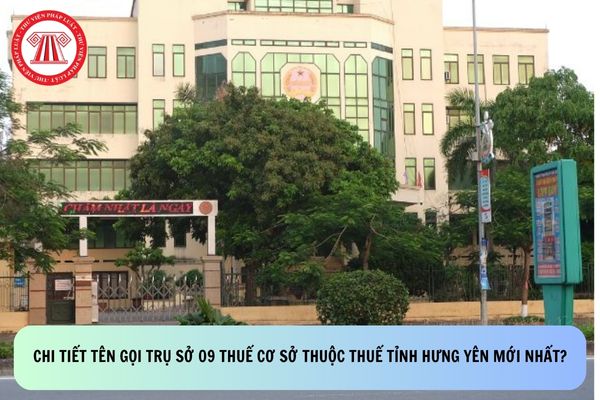 Pháp luật