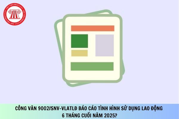 Công văn 9002/SNV-VLATLĐ báo cáo tình hình sử dụng lao động 6 tháng cuối năm 2025?