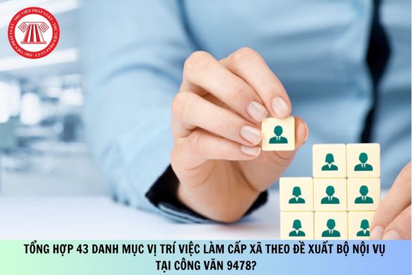 Pháp luật