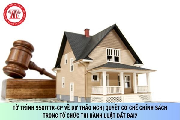 Pháp luật