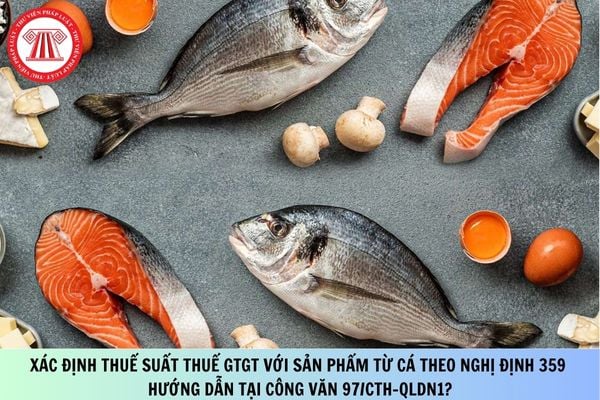 Xác định thuế suất thuế GTGT với sản phẩm từ cá theo Nghị định 359 hướng dẫn tại Công văn 97/CTH-QLDN1?