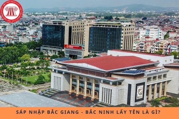 Pháp luật