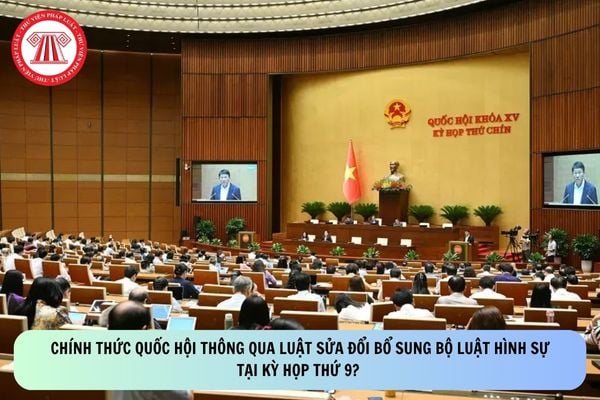 Pháp luật