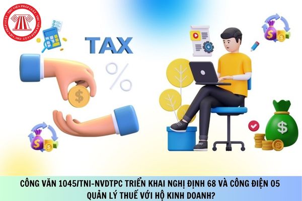Pháp luật
