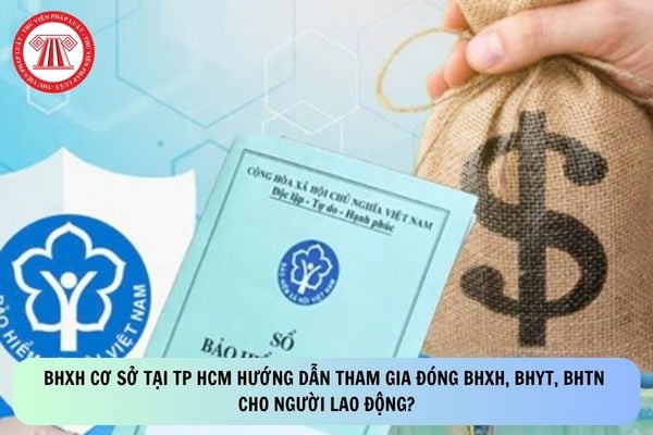 Pháp luật