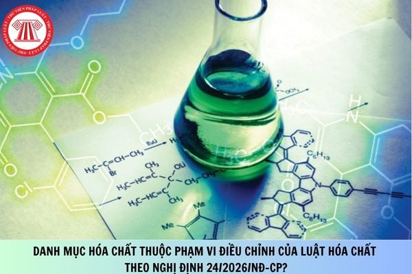 Pháp luật