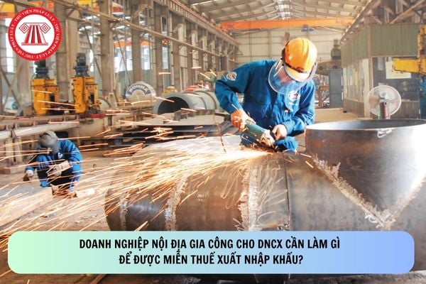 Pháp luật