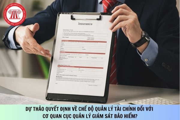 Pháp luật