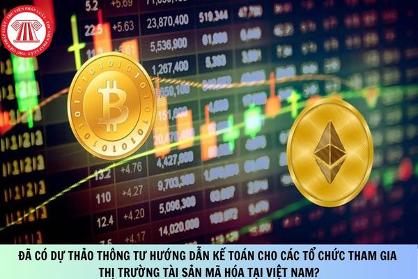 Đã có Dự thảo Thông tư hướng dẫn kế toán cho các tổ chức tham gia thị trường tài sản mã hóa tại Việt Nam?