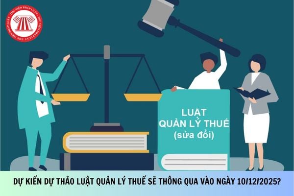 Pháp luật
